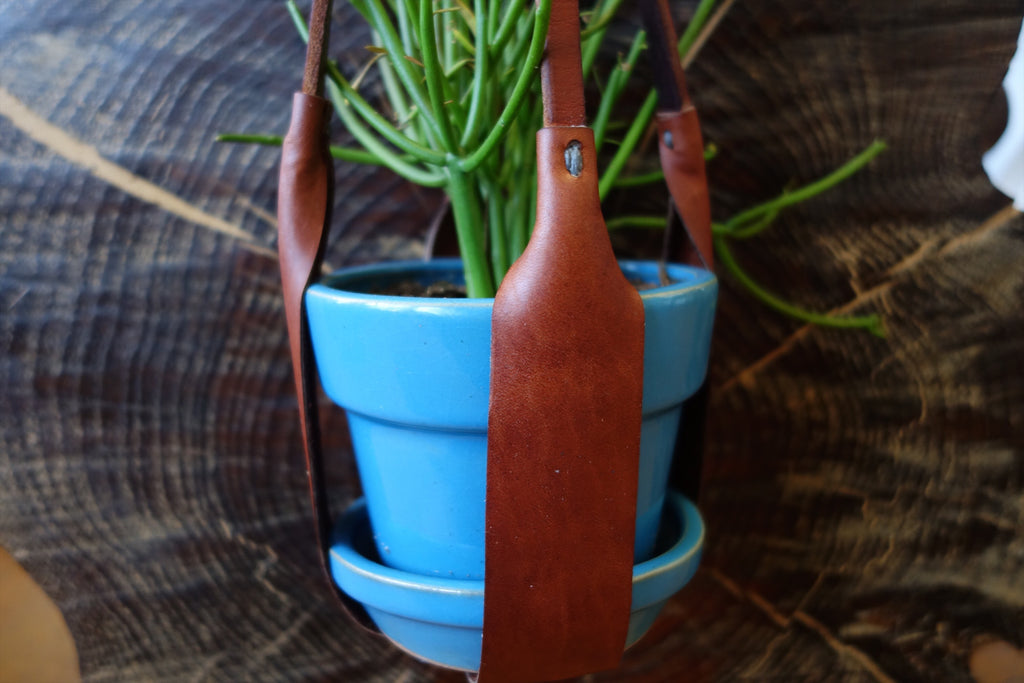 The Leather Plant Hanger